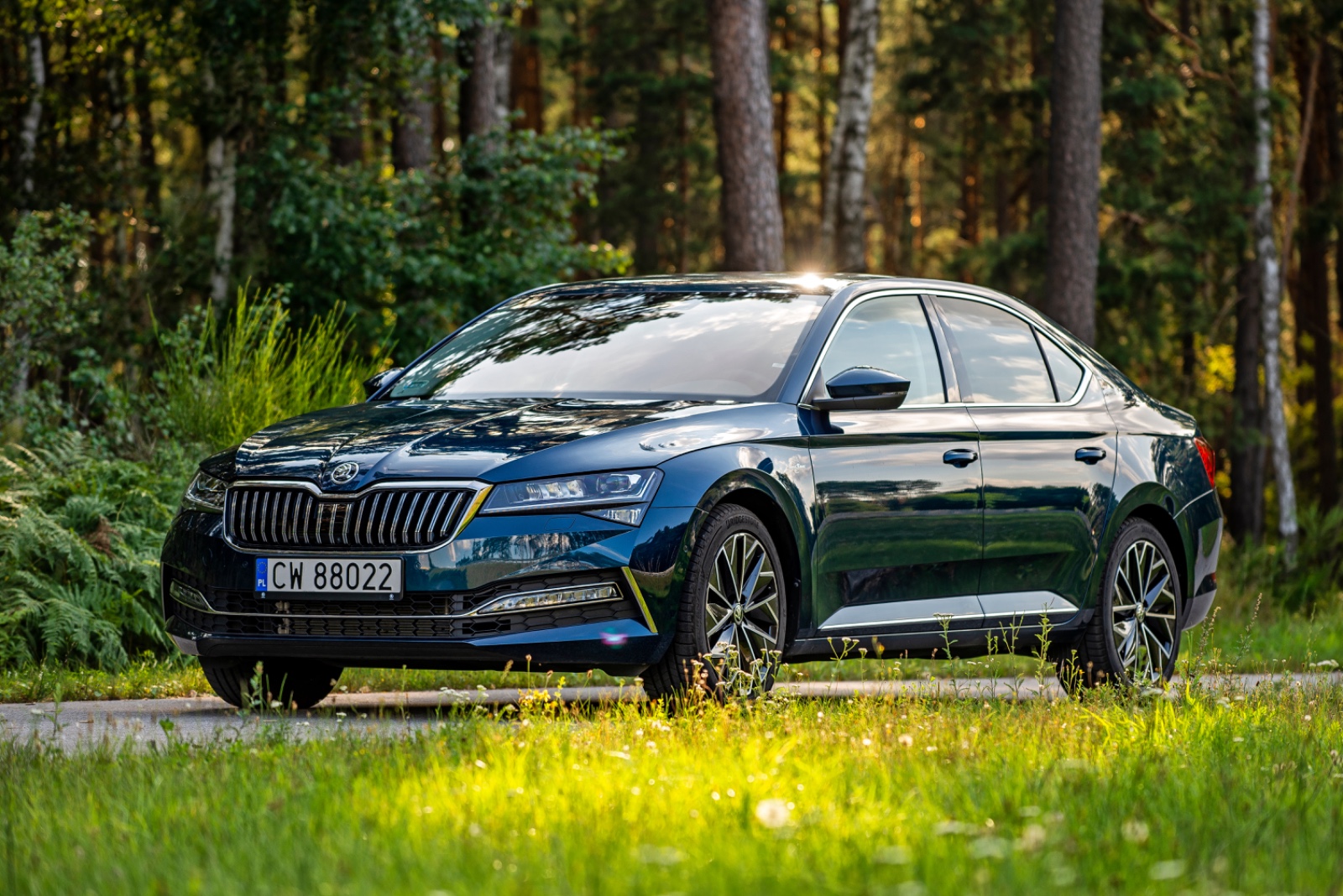 skoda